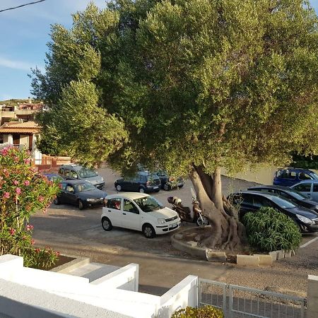 B&B Unique Art Santa Teresa Gallura Exterior photo