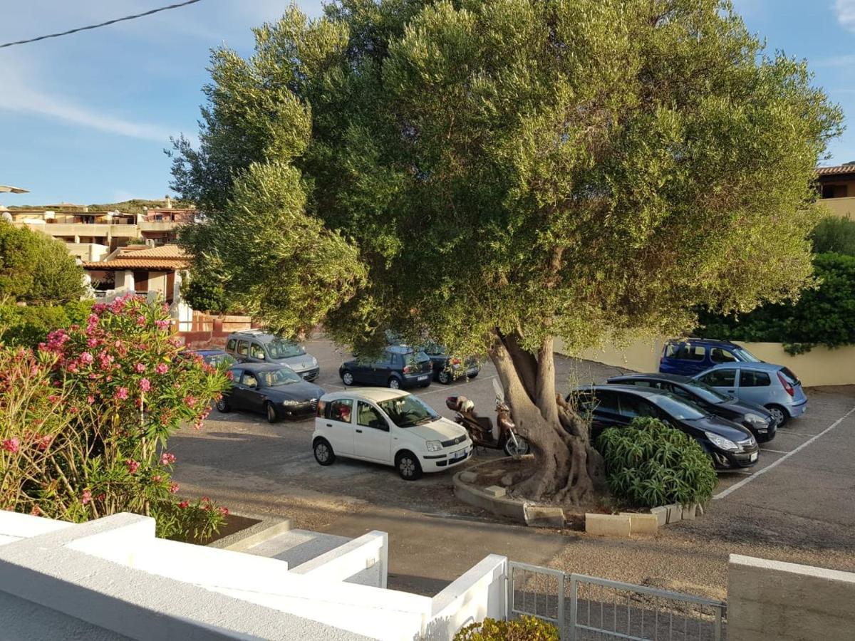 B&B Unique Art Santa Teresa Gallura Exterior photo